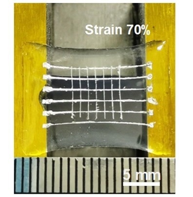 Ferroelectric Materials Get Elastic Recovery Through “Slight Crosslinking”
