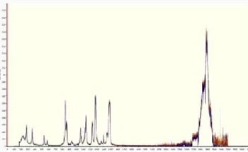 Characterization of Polymers Using Raman Spectroscopy