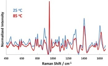 Using Dynamic Light Scattering and Raman Spectroscopy to Estimate BSA Aggregation Kinetics
