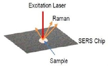 Portable Raman Instrumentation - SERS Applications