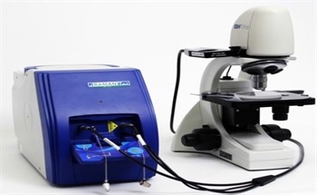 Portable Raman for At-Line Characterization of Carbon Black