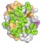 Advances in Characterization of Protein Assemblies Using NMR Spectroscopy