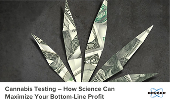 Cannabis Testing – How Science Can Maximize Your Bottom-Line Profit